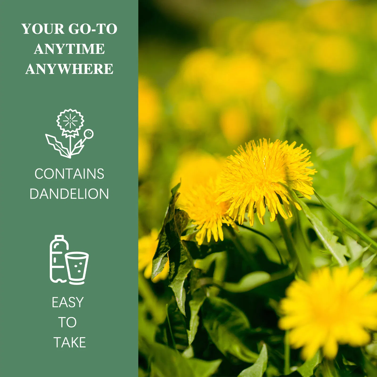 Organic Dandelion Extract Capsules - Halal/Kosher Approved for Immune Support &amp; Joint Comfort