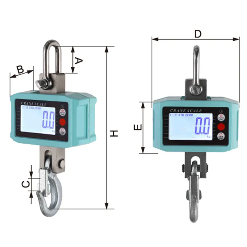 Crane Scale Detail 2