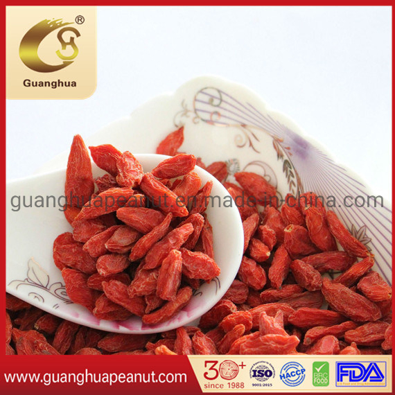 Organic Goji Berry Healthy Product