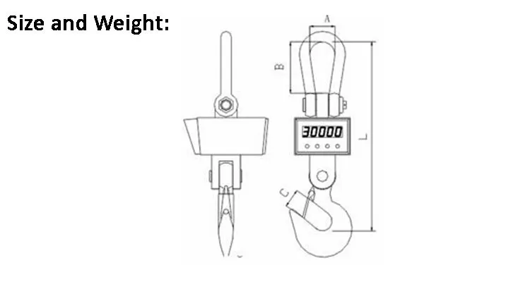 Ocs Crane Scale Details