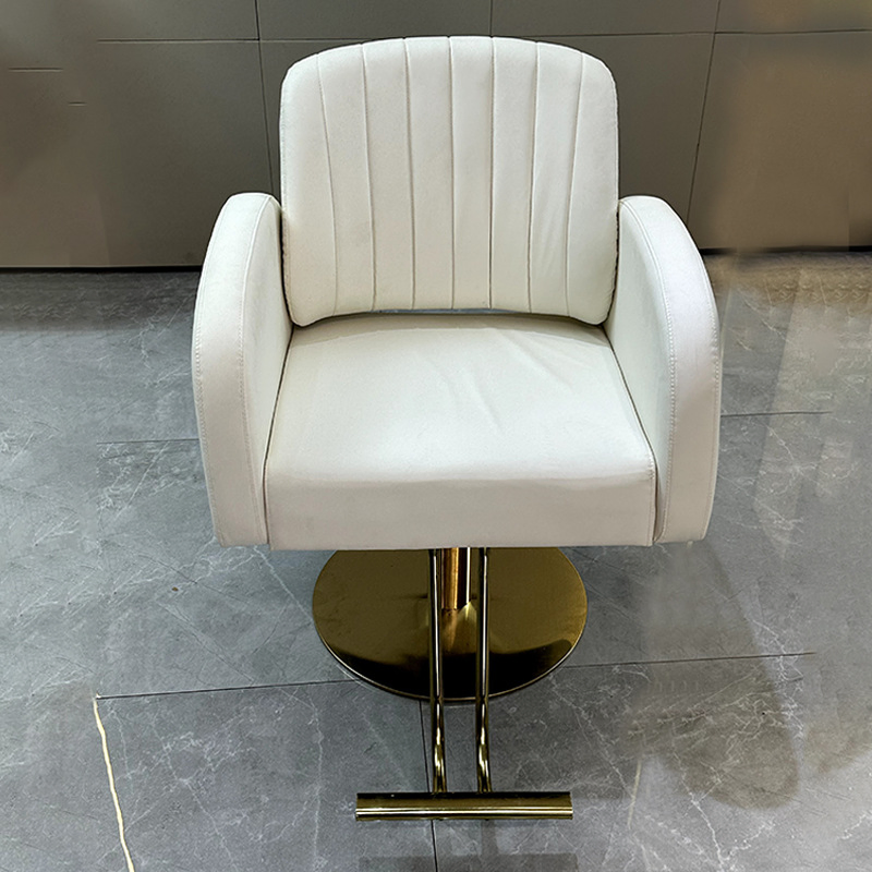 Professional Cheap Functional Performance Beauty Salon Dainty Hairdressing Barber Chair