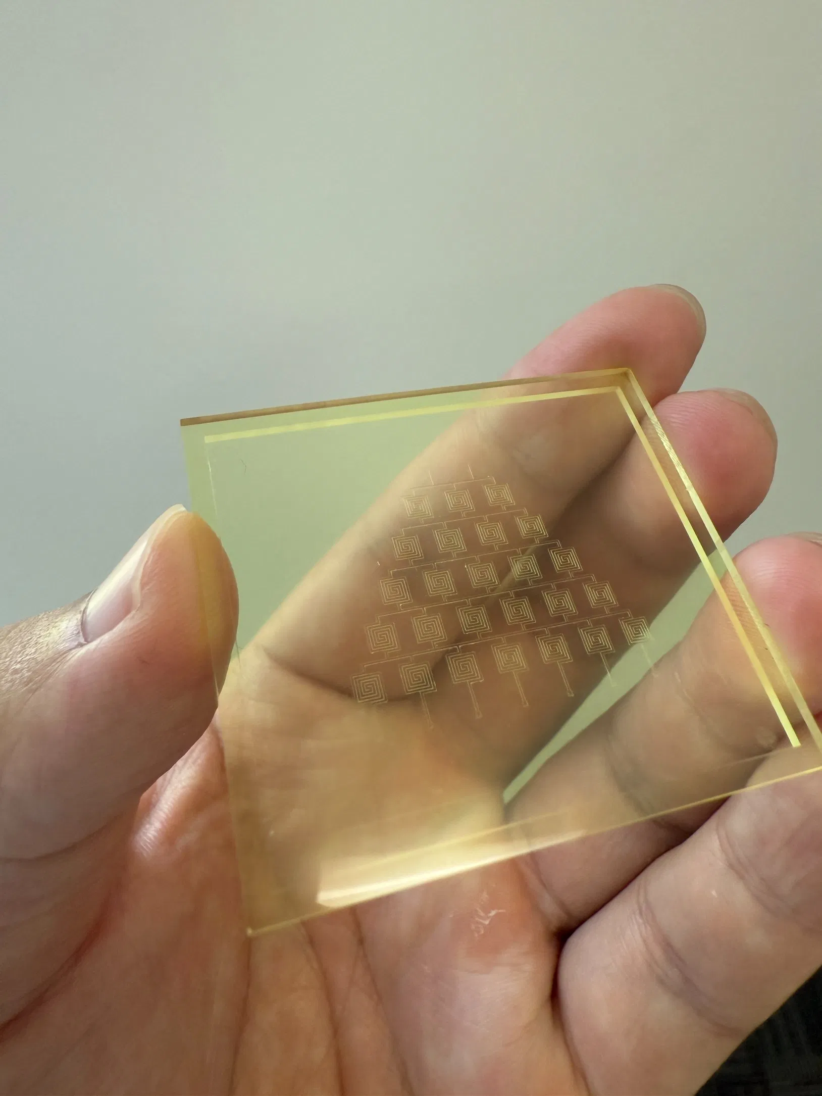 Zegota Animal-Free Toxicology Screening Chips (Human-Relevant Safety Assessment)