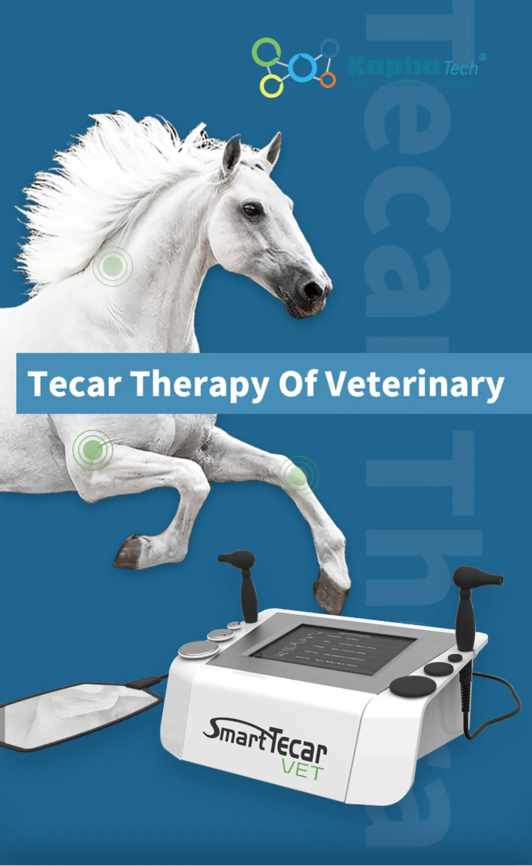 Tecar Therapy Machine