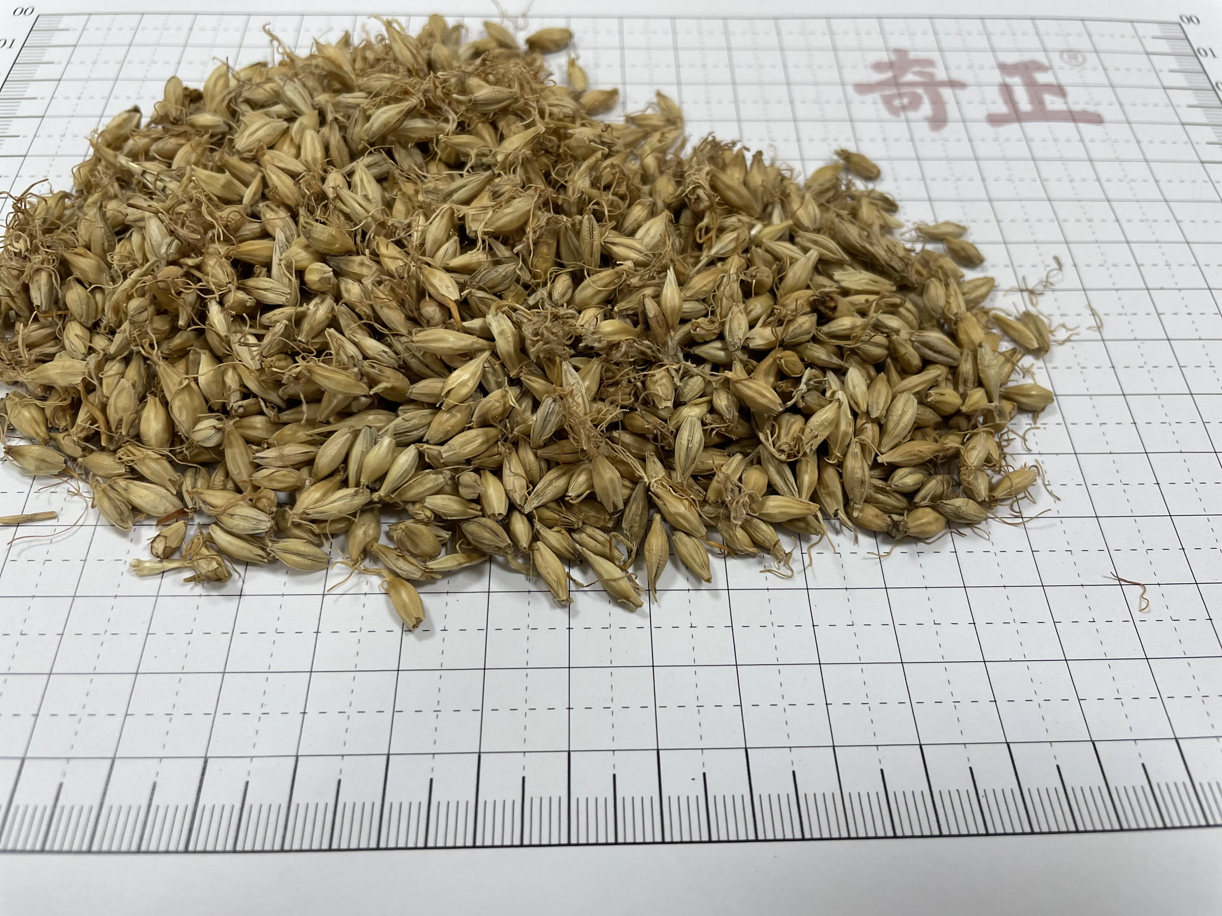 Traditional Chinese Herbal Medicine Maiya Hordei Fructus