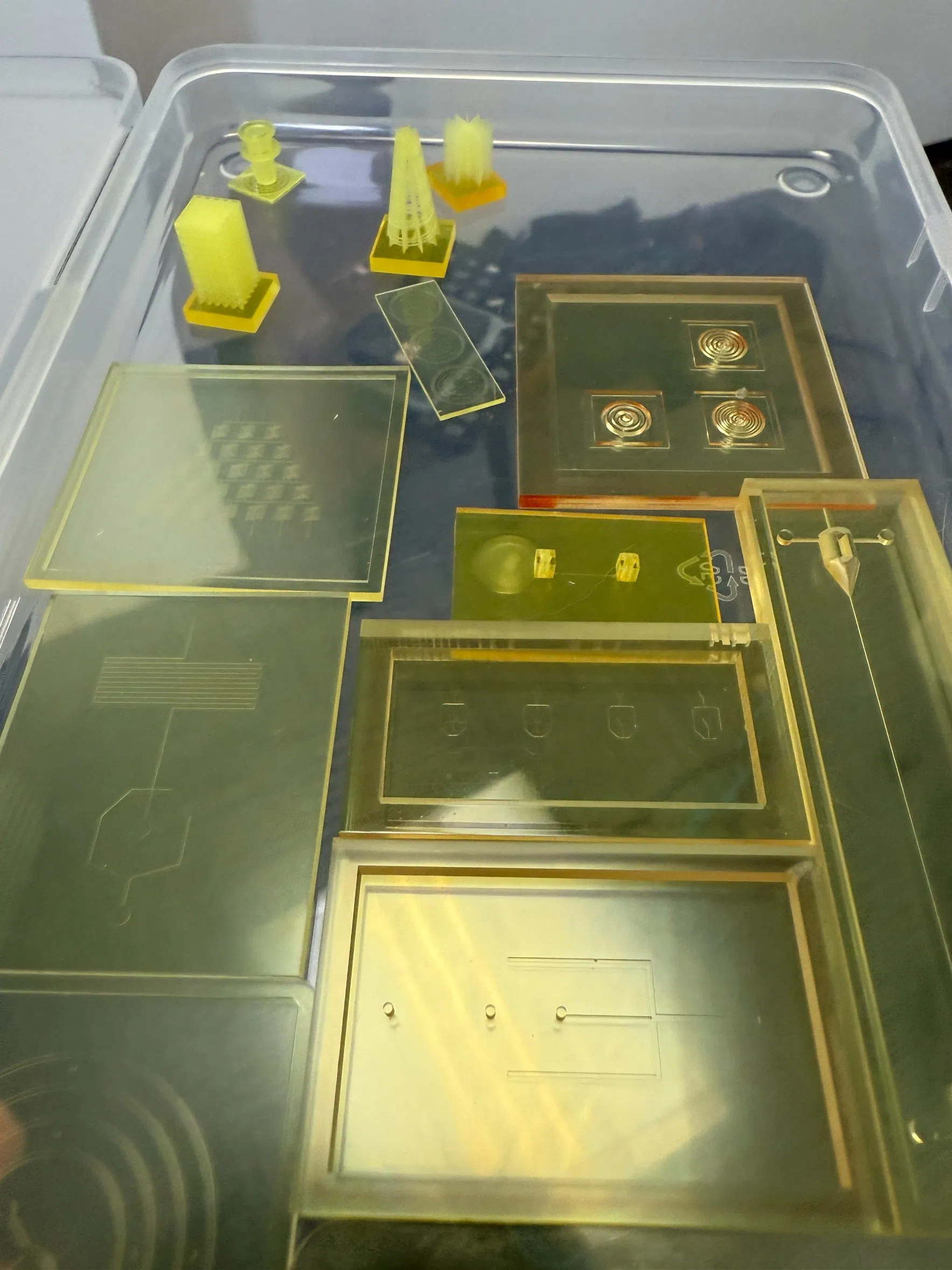 Zegota Animal-Free Toxicology Screening Chips (Human-Relevant Safety Assessment)