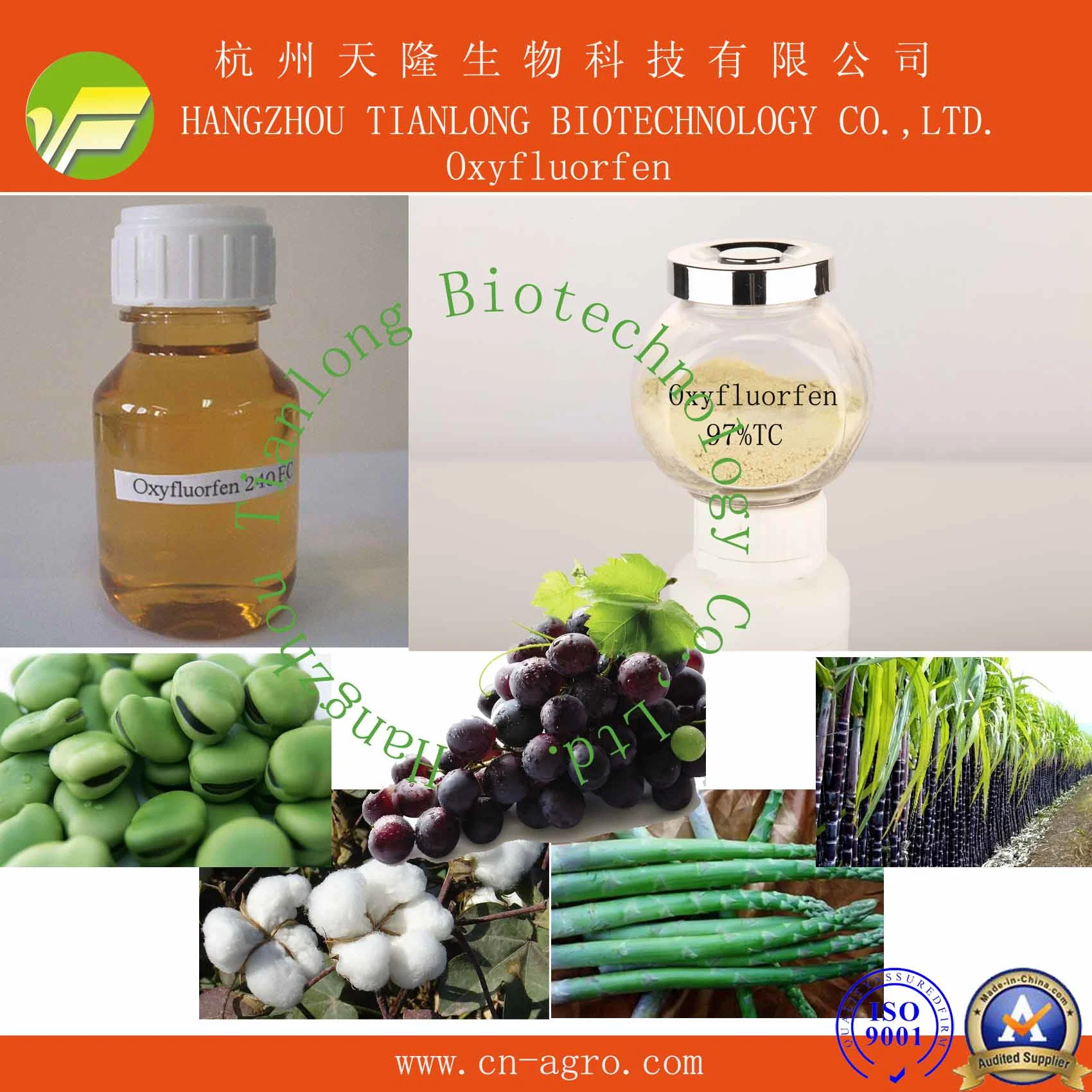 Good Quality Herbicides Oxyfluorfen (98%TC, 240g/L EC 480SC)