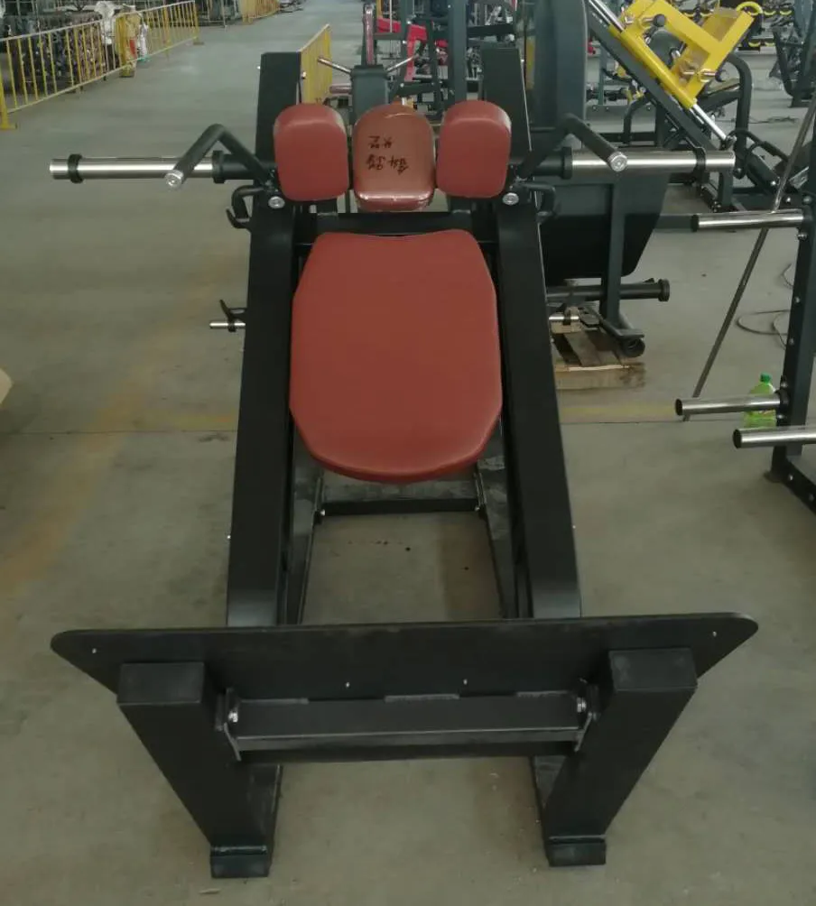 Multi-Functional Fitness Machine