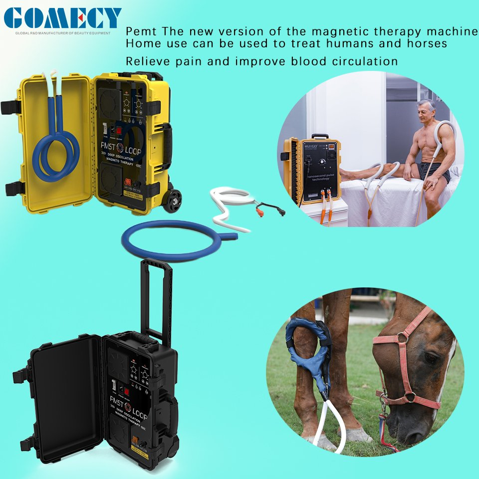 Pmst Loop for Human Pulse Therapy Relaxing Muscle and Pain Management Equipment