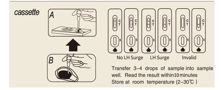 Result Interpretation