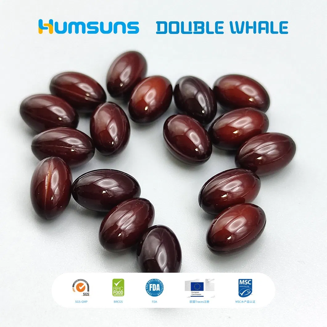 Balanced Phospholipid Krill Oil Softgel Supporting Cognitive Vitality and Metabolic Wellness