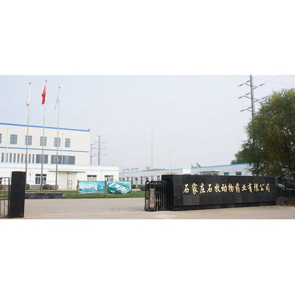 GMP Certified Prednisone Acetate Injection