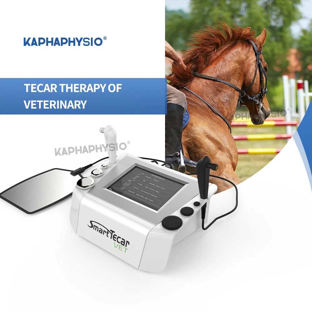 Manufacture China Horse Treatment Therapy Rehabilitation Equipment Improved Equine Flexibility Physiotherapy Machine Smart Tecar