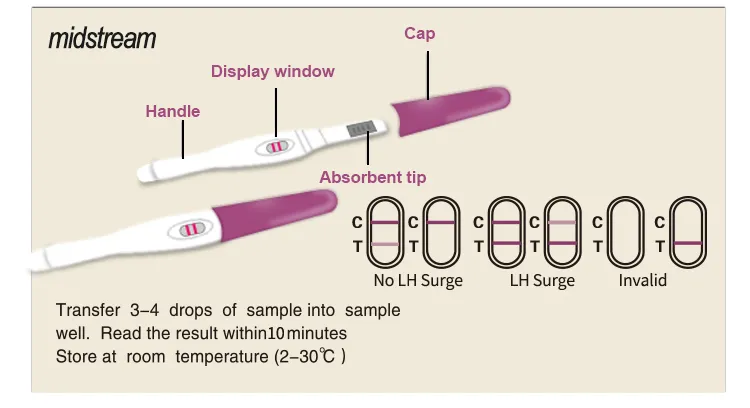 Result Interpretation
