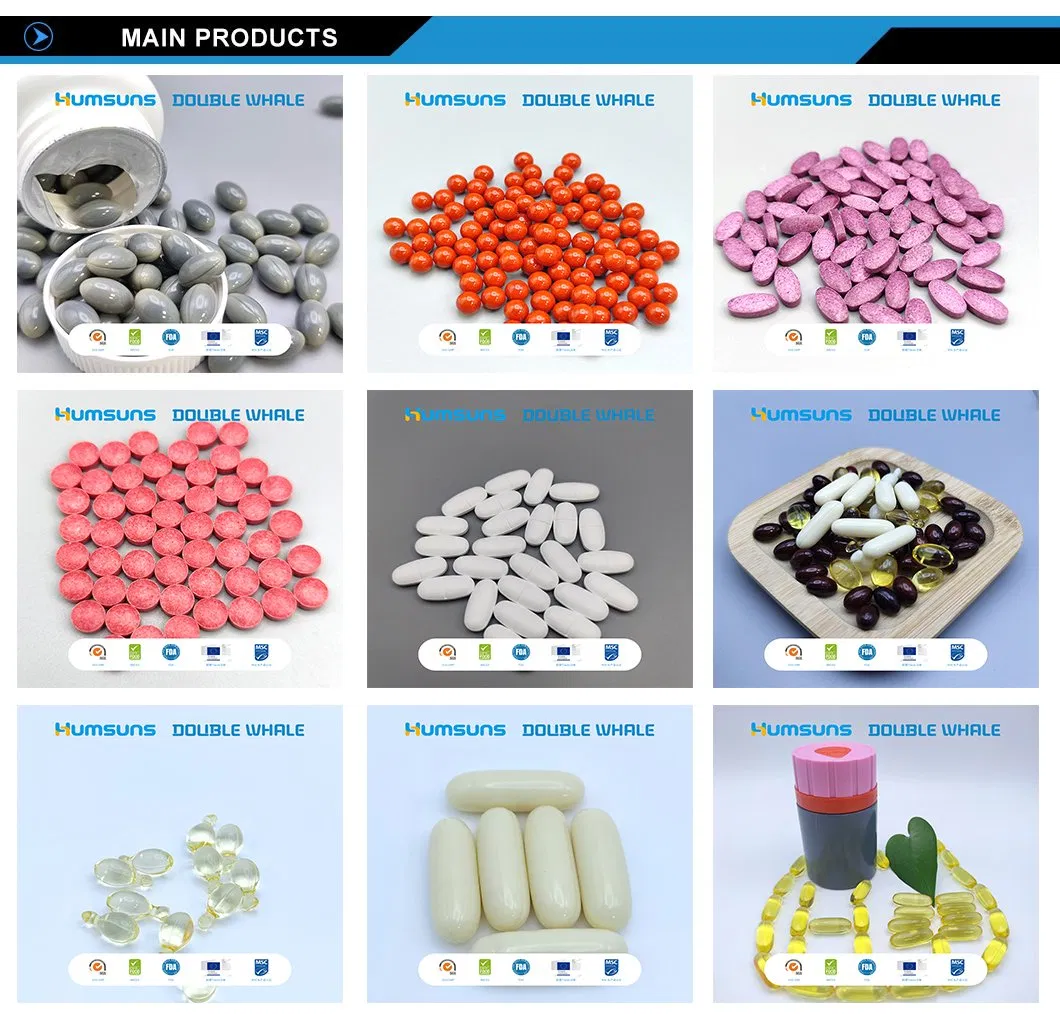 Main Products Catalog