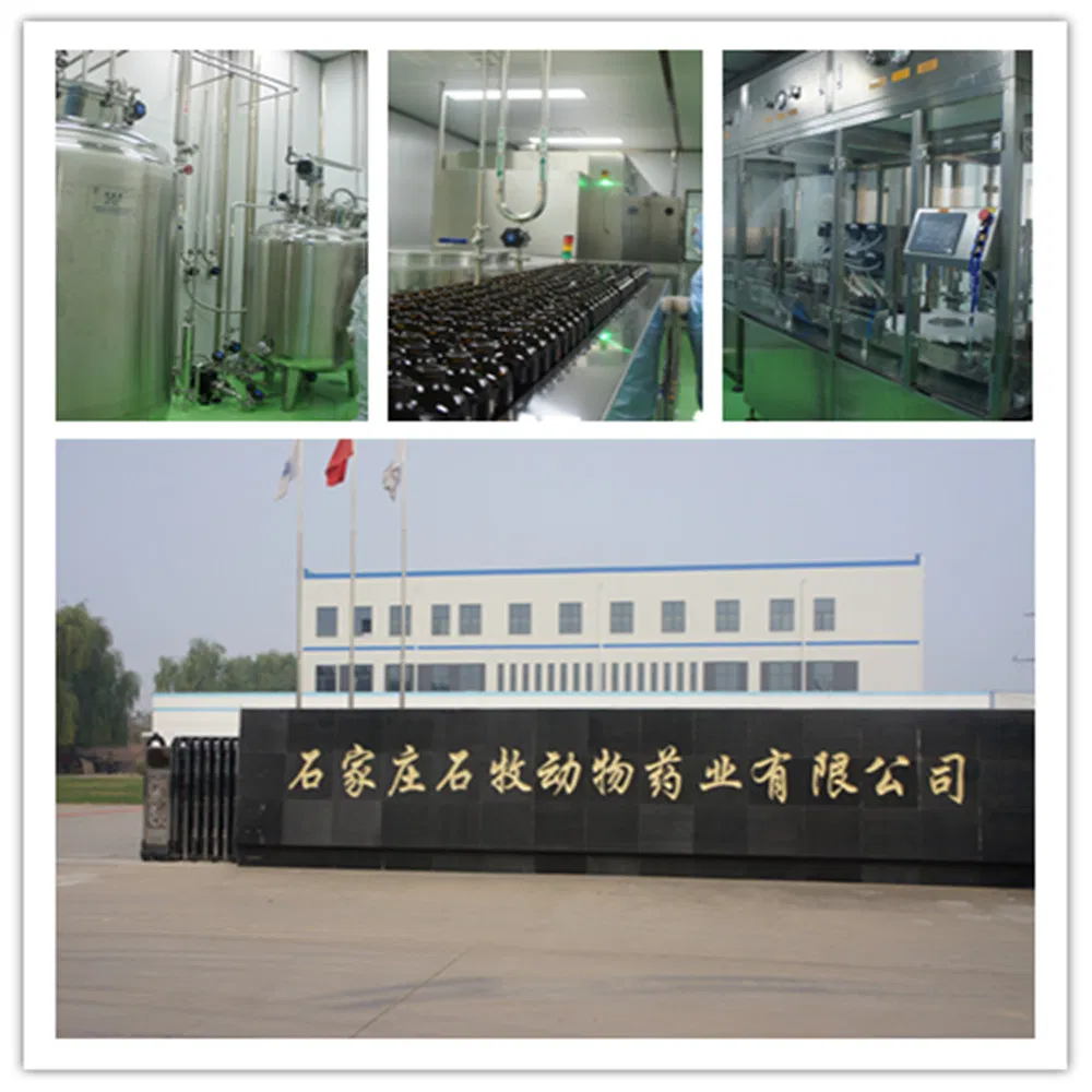 GMP Certified Prednisone Acetate Injection