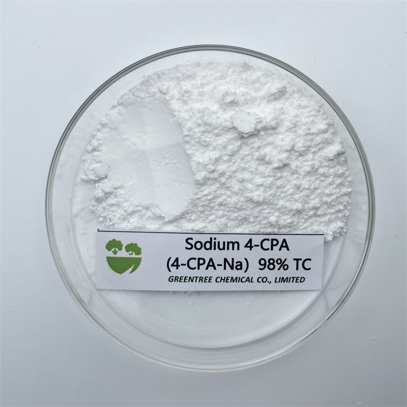 High Purity Agrochemical Pgr Sodium 4-CPA-Na 4-Chlorophenoxyacetic Acid 98% Tc CAS 13730-98-8
