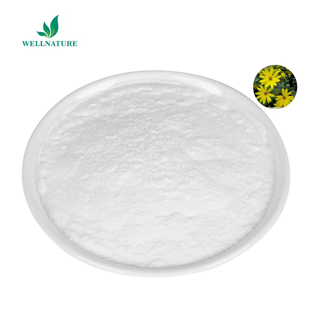 Chicory Root Extract Powder