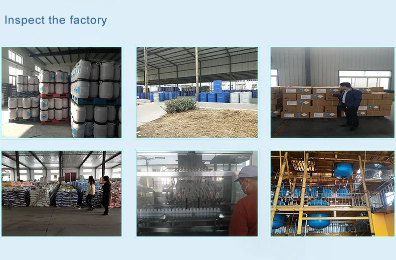 Benomyl 50%WP Packaging