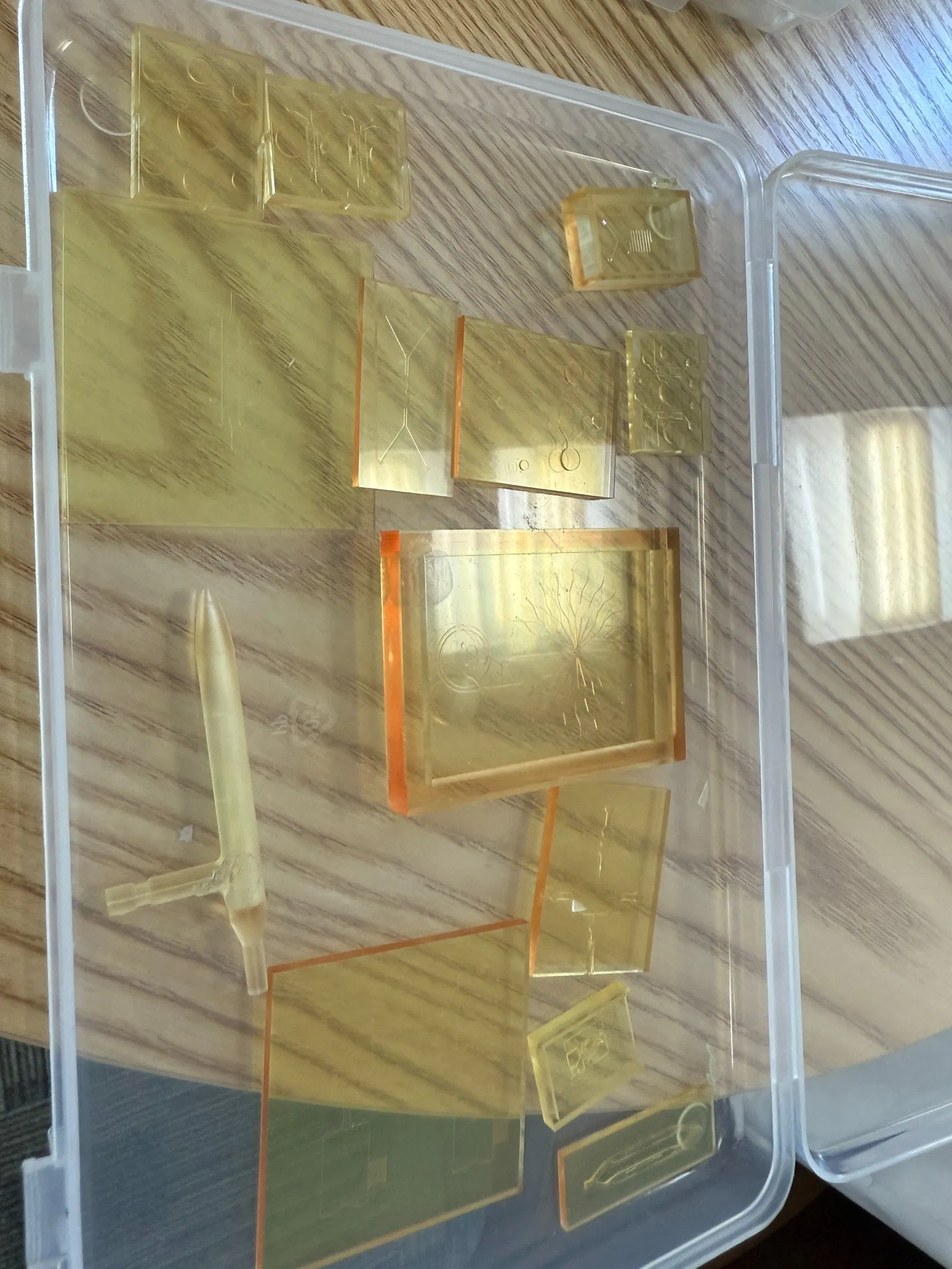 Zegota Animal-Free Toxicology Screening Chips (Human-Relevant Safety Assessment)