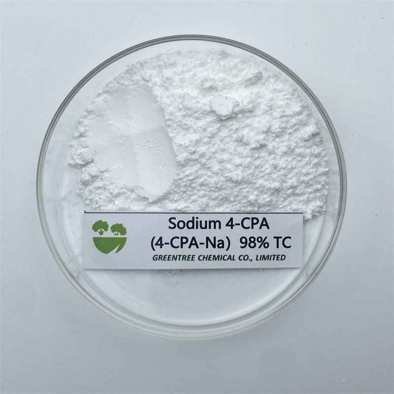 High Purity Agrochemical Pgr Sodium 4-CPA-Na 4-Chlorophenoxyacetic Acid 98% Tc CAS 13730-98-8