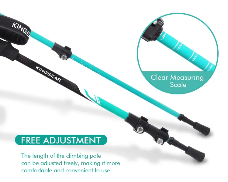 Trekking Pole Detail 4