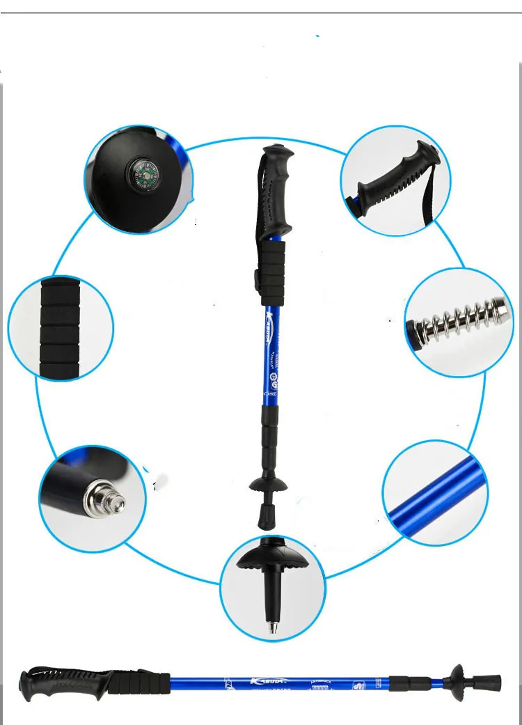 Walking Stick Features