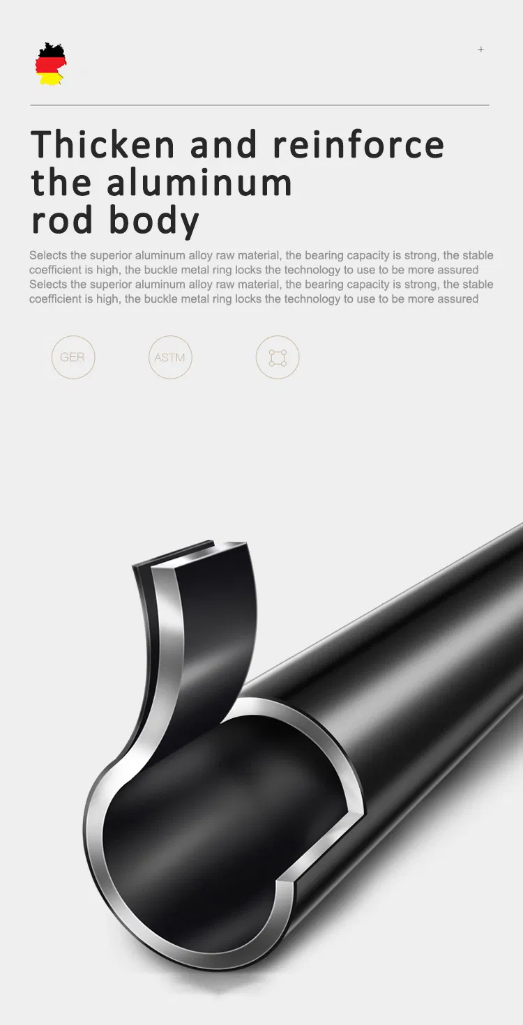 Walking Stick Detail 4