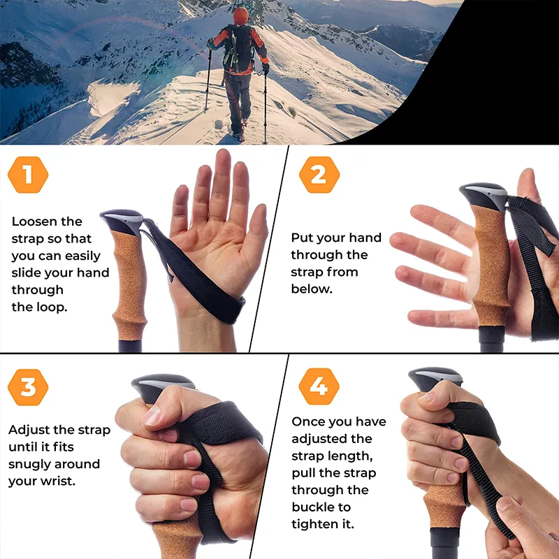 Trekking Pole Detail 2