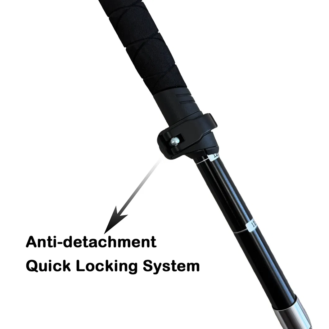 Trekking Pole Usage 1