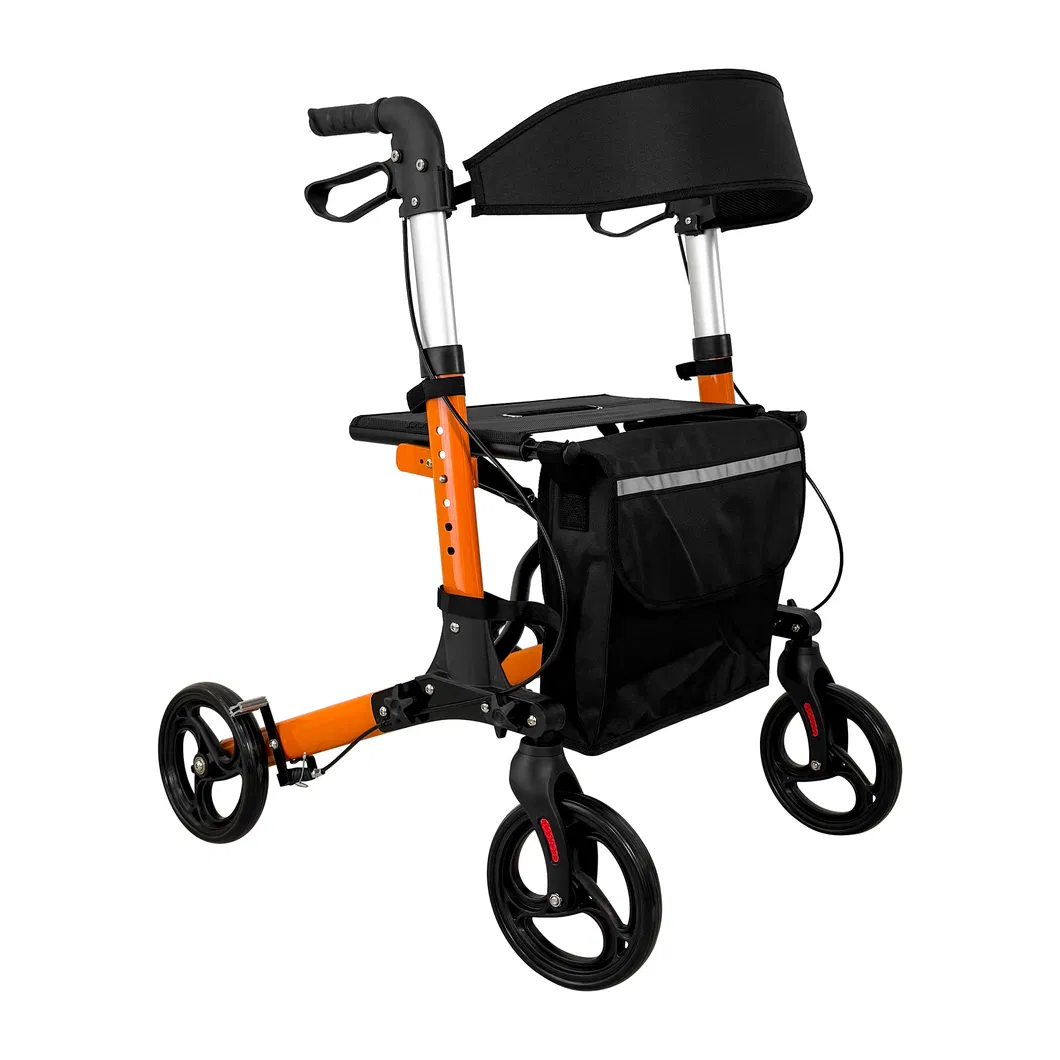 Rollator Walker Display 1