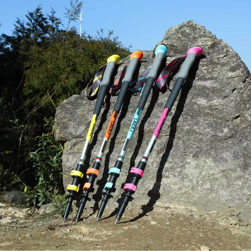 Hiking Pole Detail 2