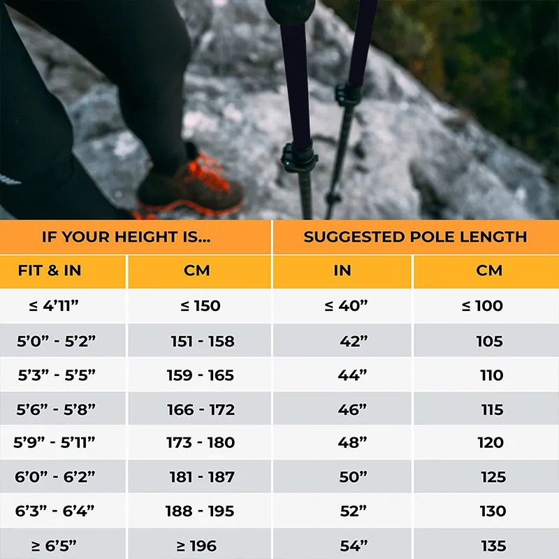 Trekking Pole Detail 3