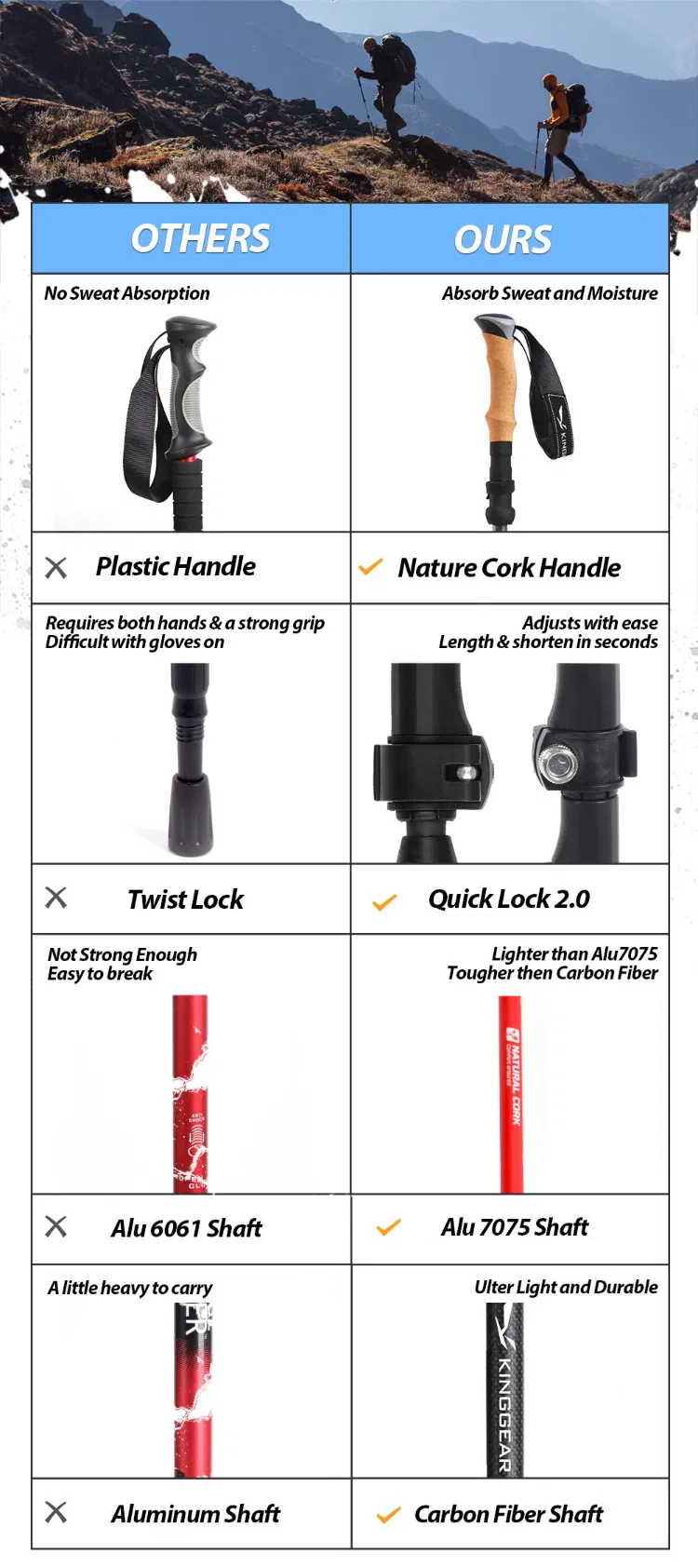 Trekking Pole Detail 1