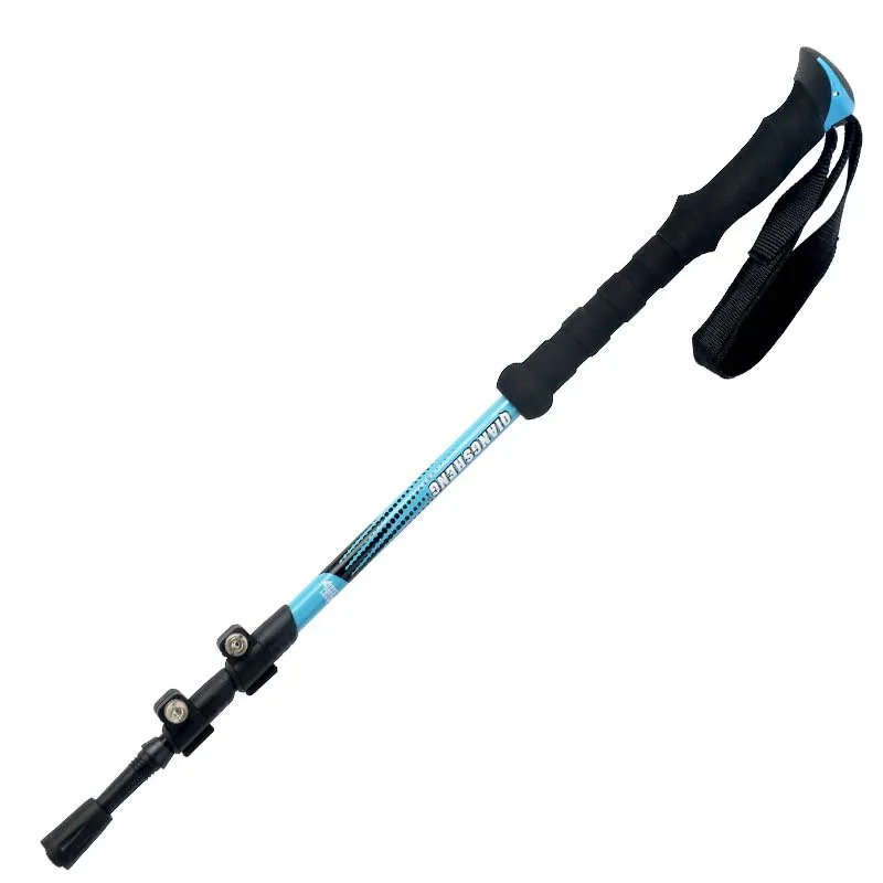 Trekking Pole 6