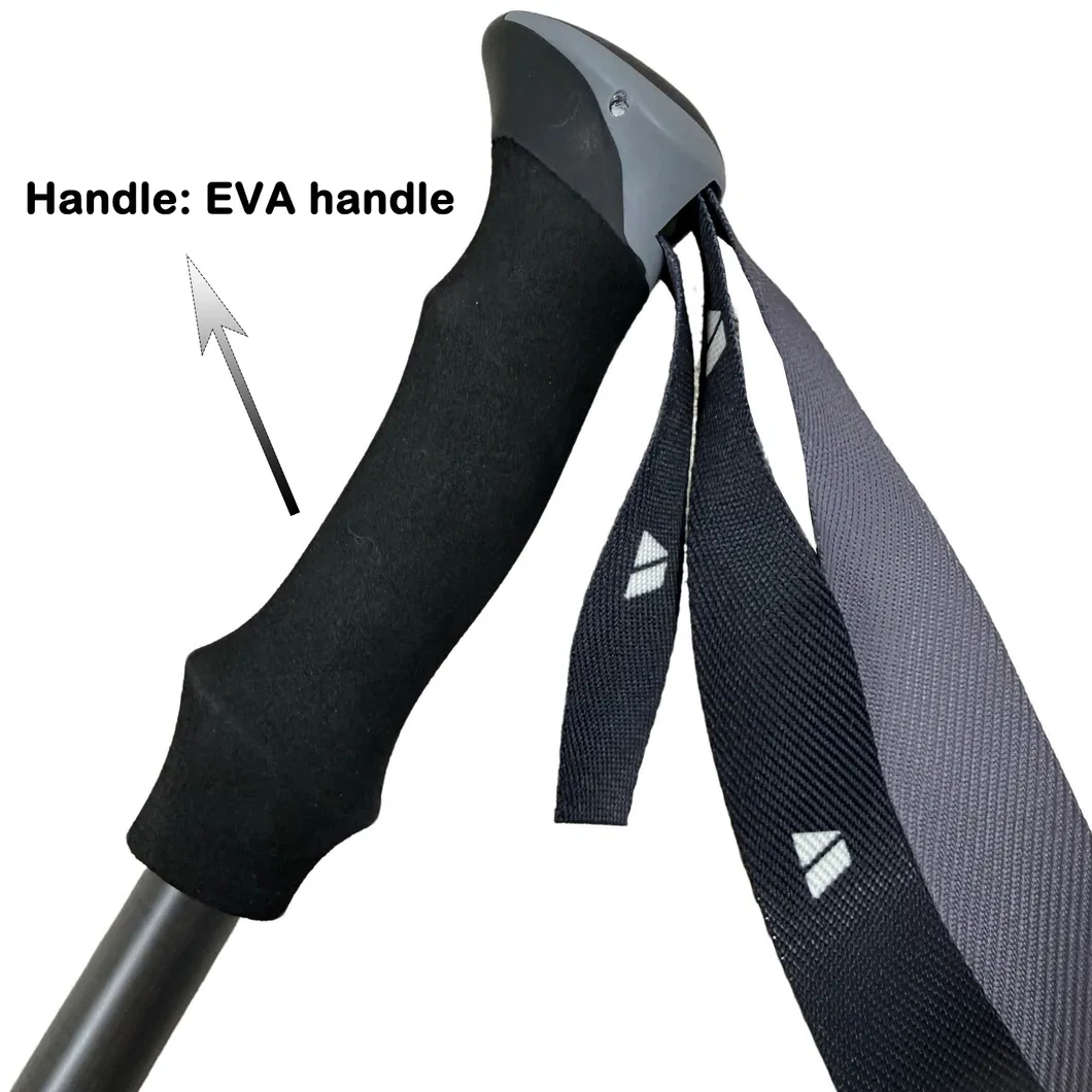 Trekking Pole Detail 6