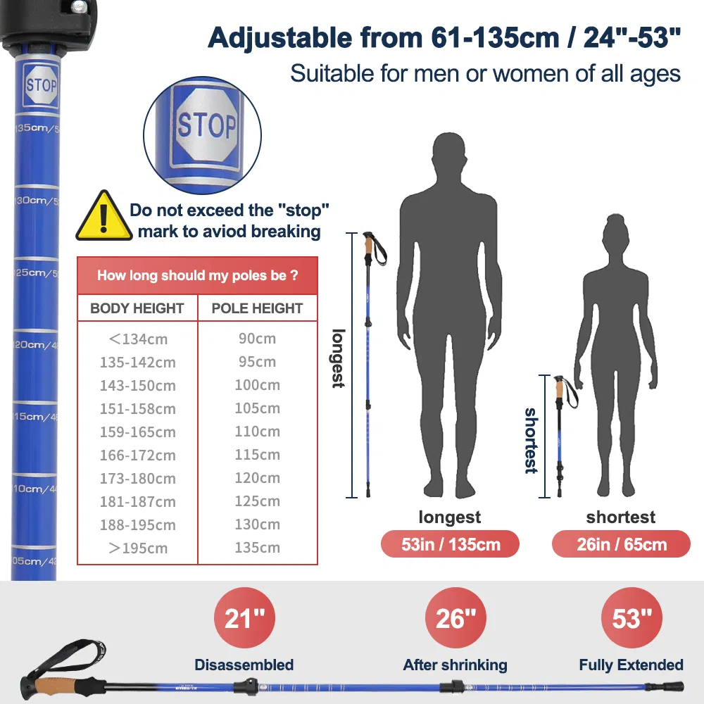 Trekking Pole Display 3