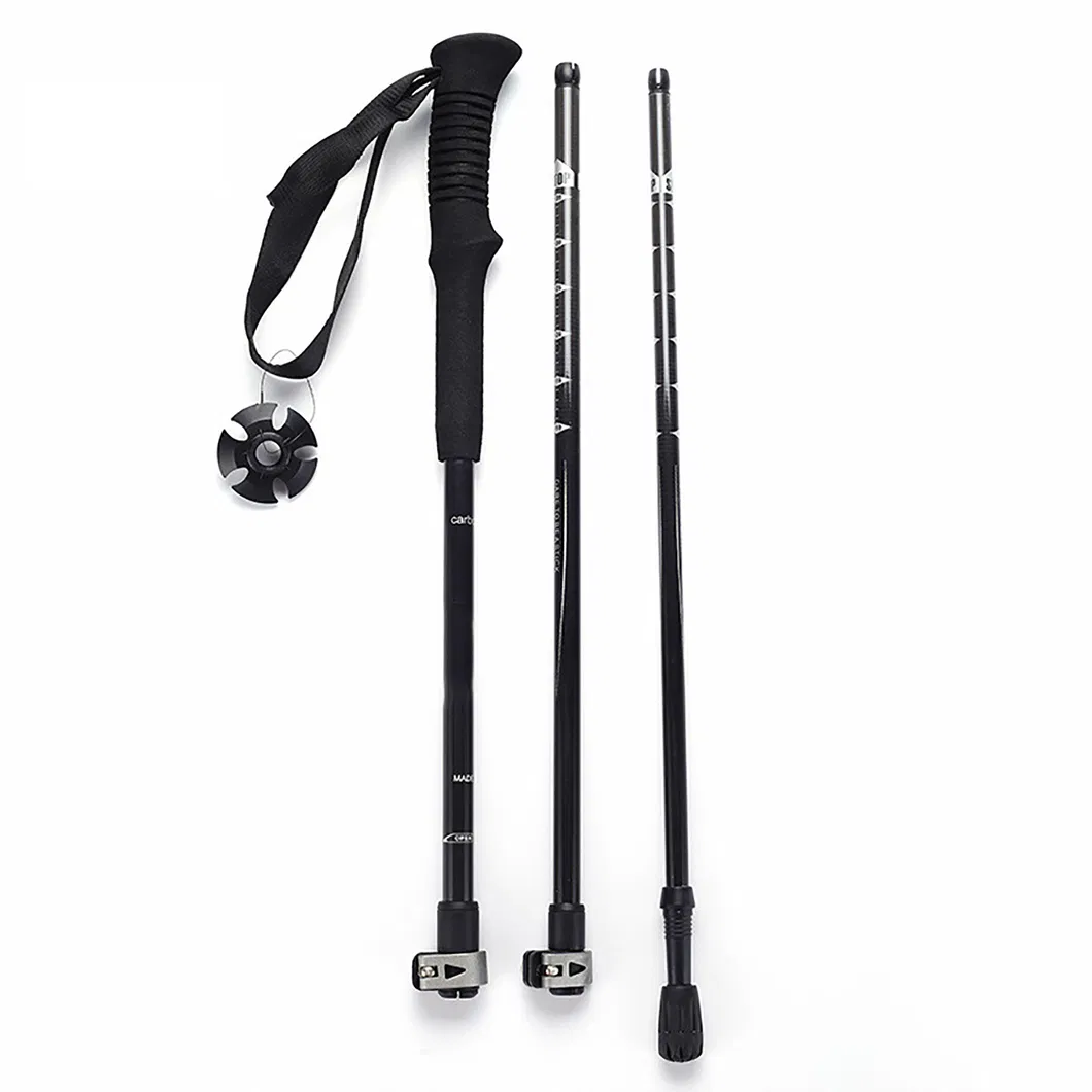 Trekking Pole Detail 5