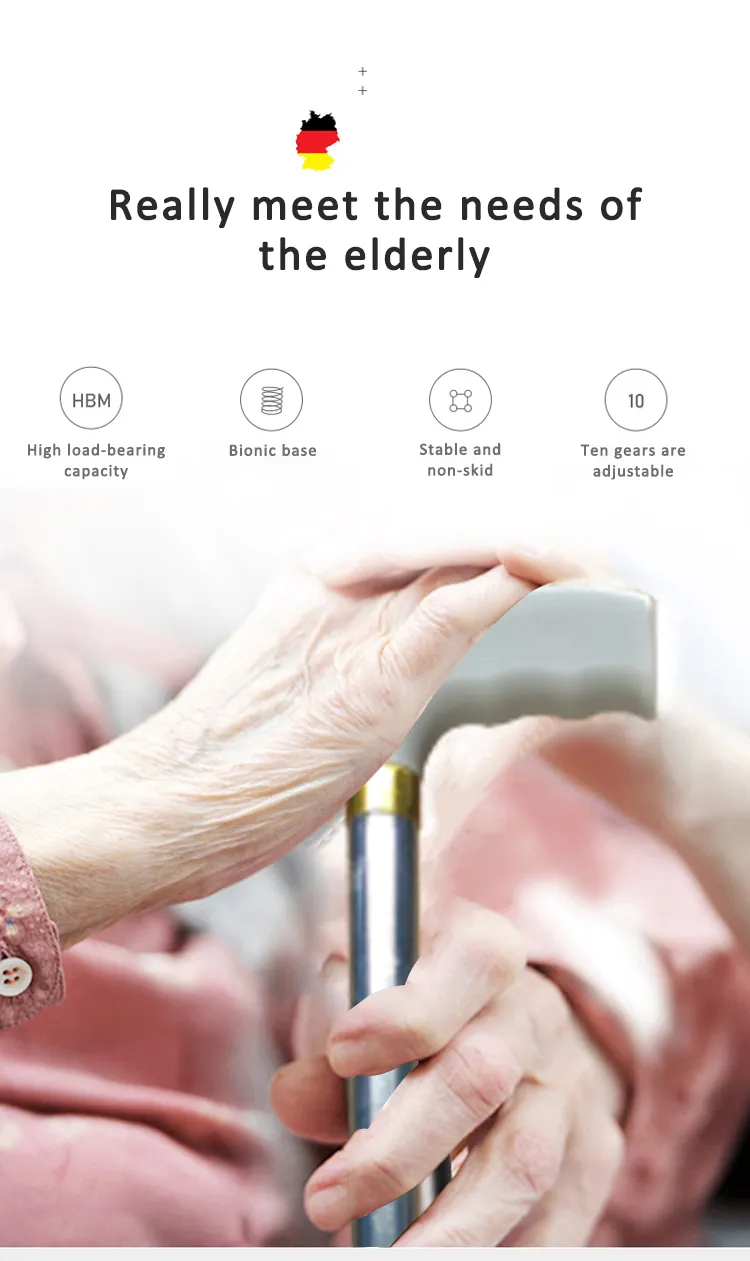 Walking Stick Detail 3