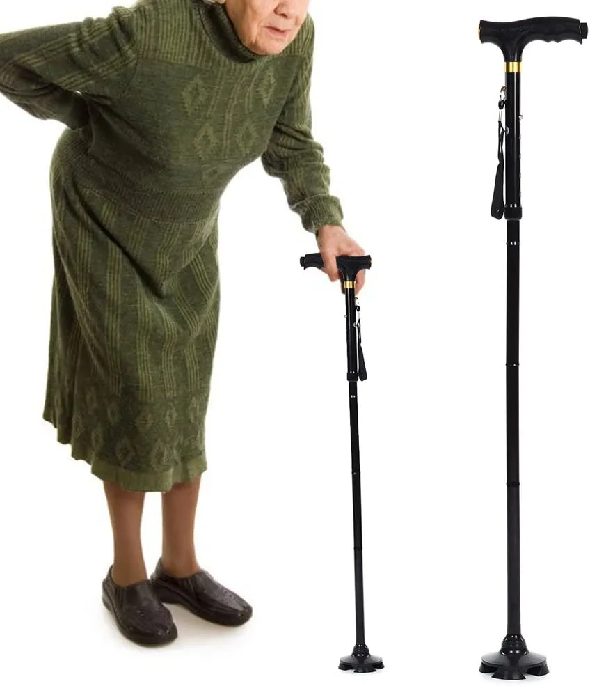 Walking Cane 1