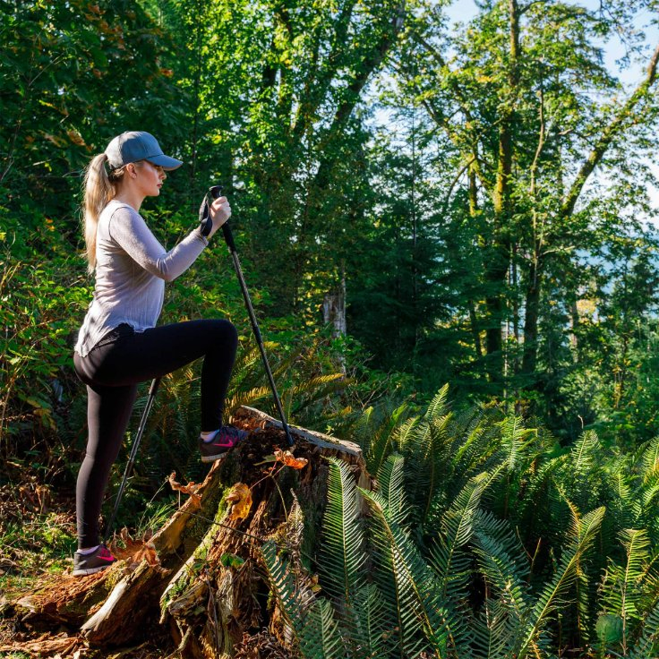 Lightweight Aluminum Sticks Anti Shock Adjustable Collapsible Trekking Walking Hiking Poles