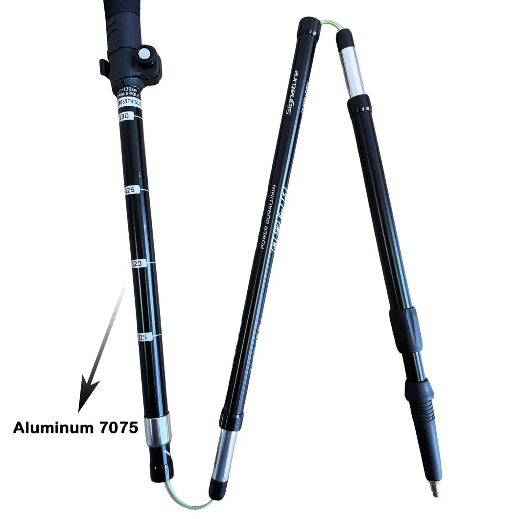 Trekking Pole Usage 2