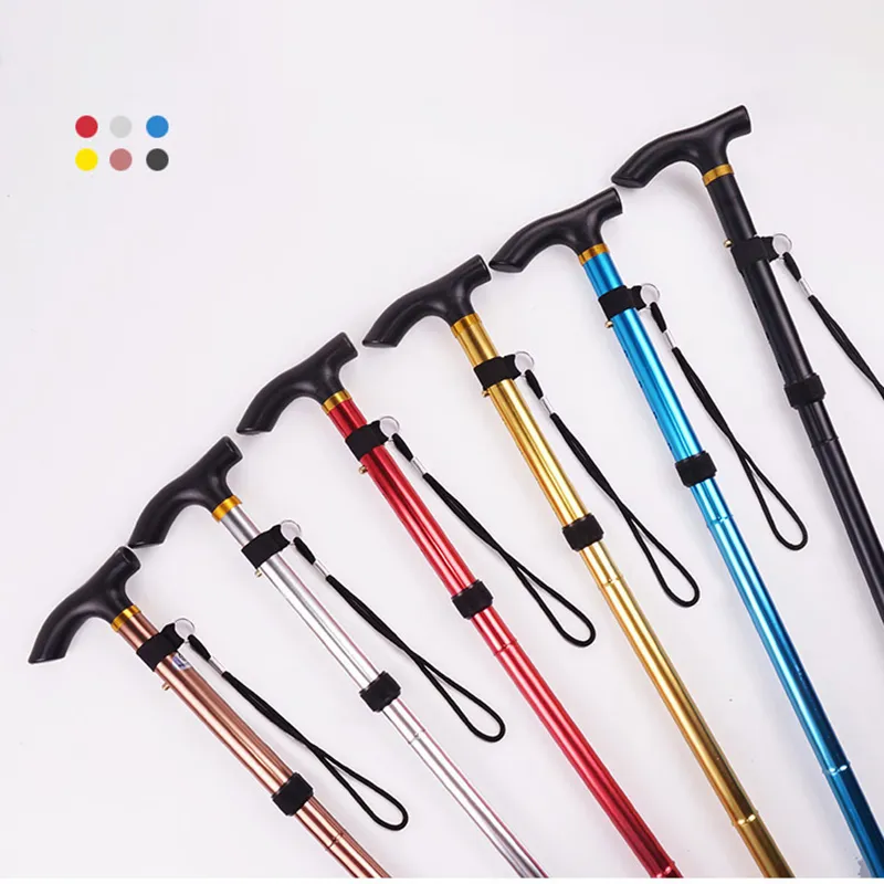 Trekking Pole Detail 2