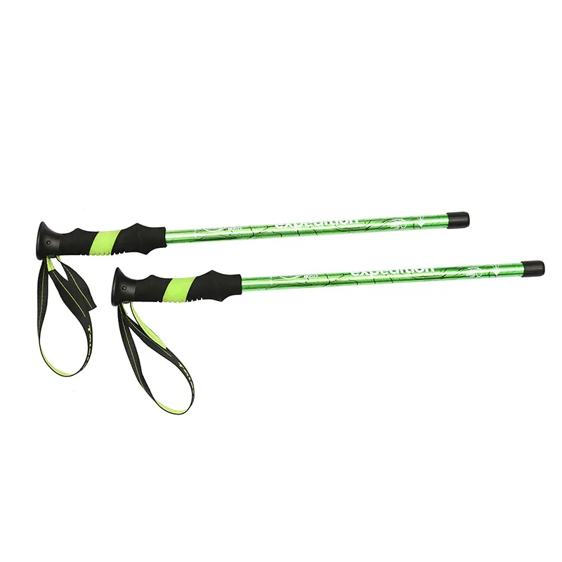 Hiking Pole Detail 3