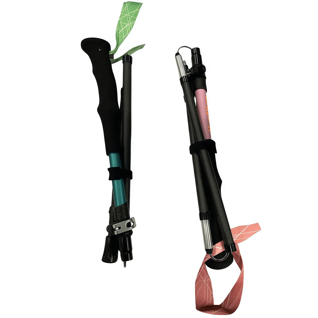 Trekking Pole View 1