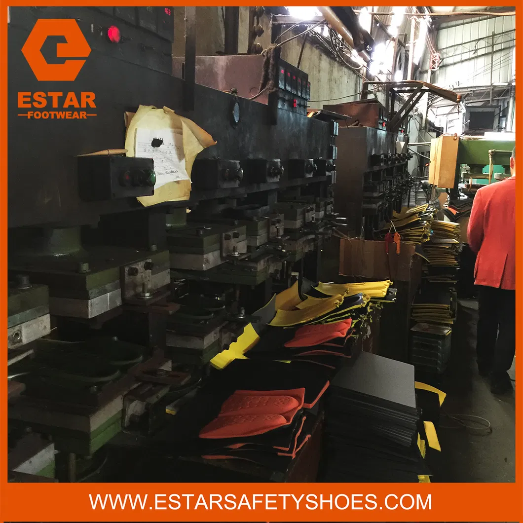 Orthotic Insoles View 2