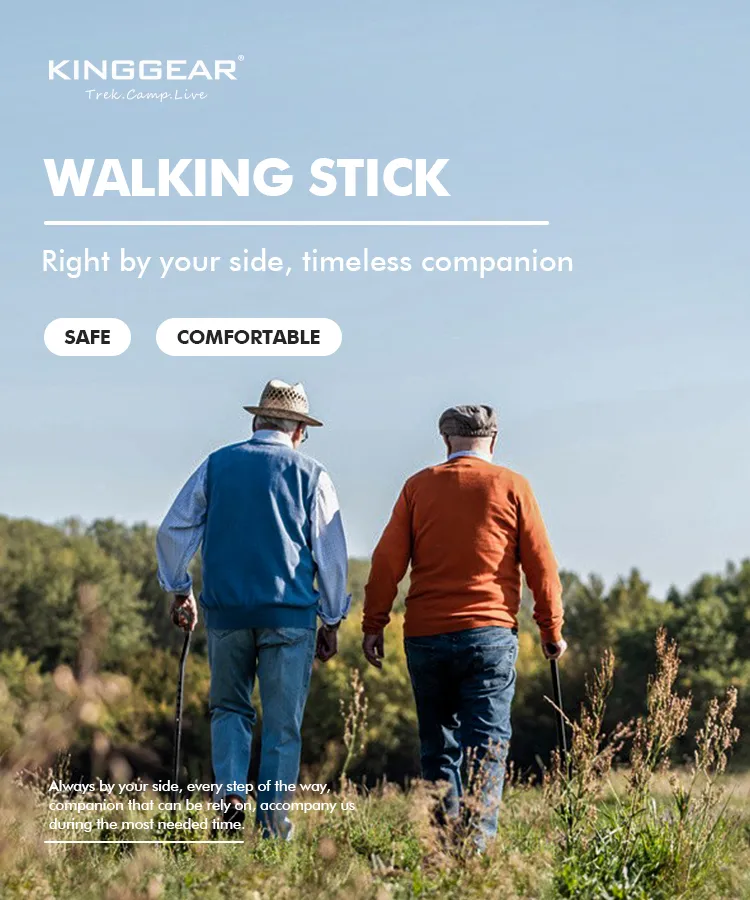 Walking Cane Display