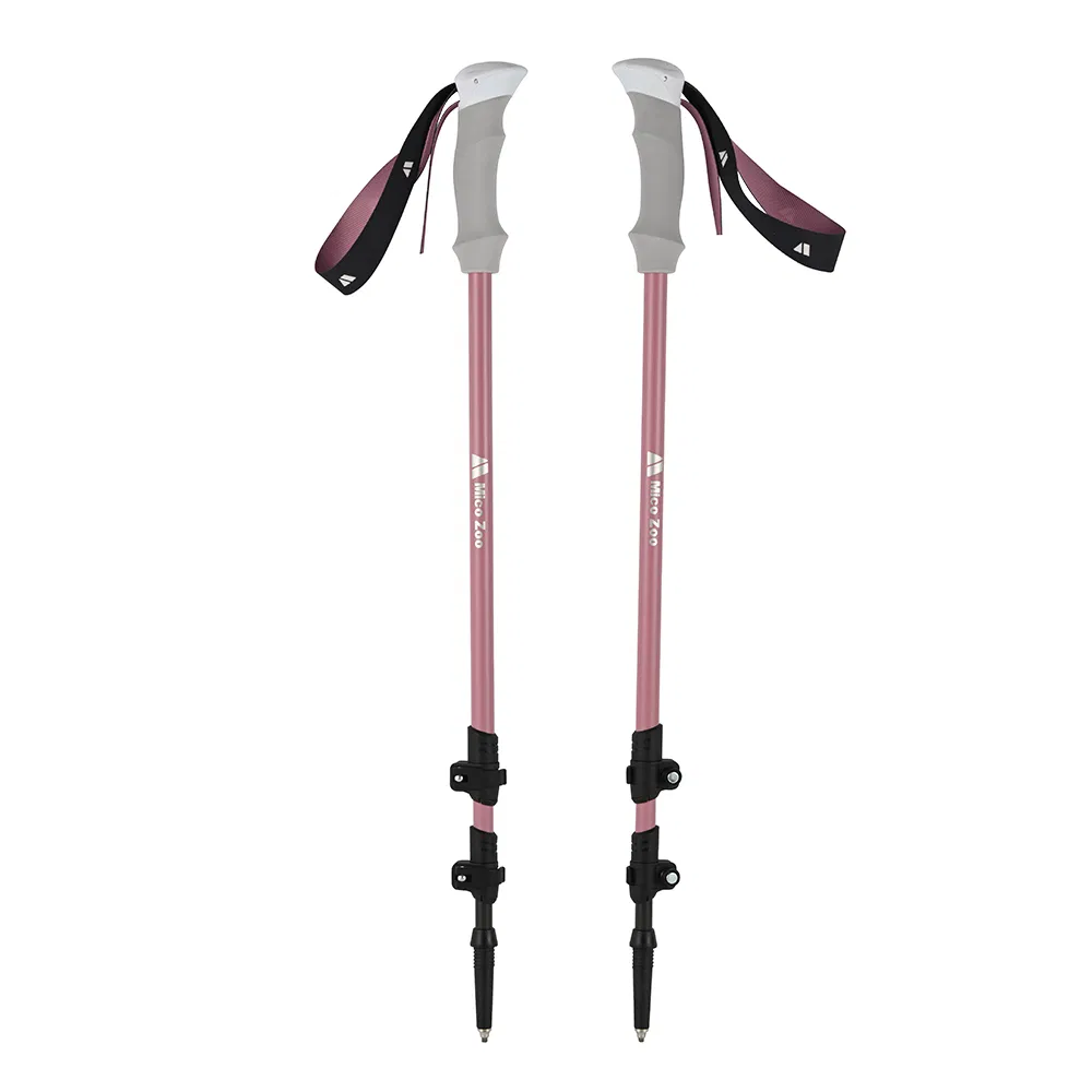 Trekking Pole Detail 1