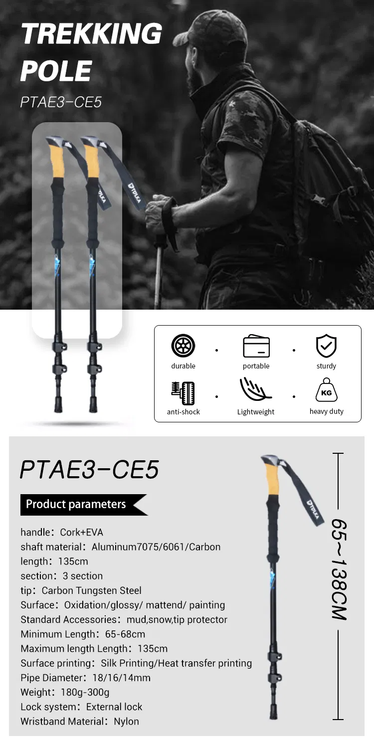 Telescopic Walking Stick 1