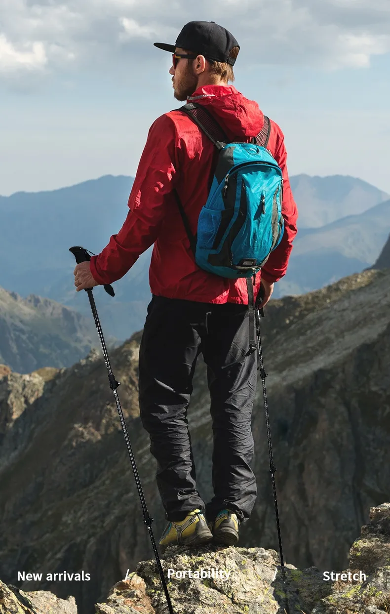 Trekking Pole View 2