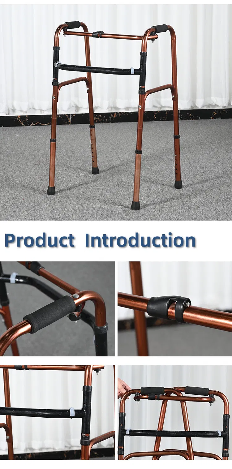 Elderly Walking Support